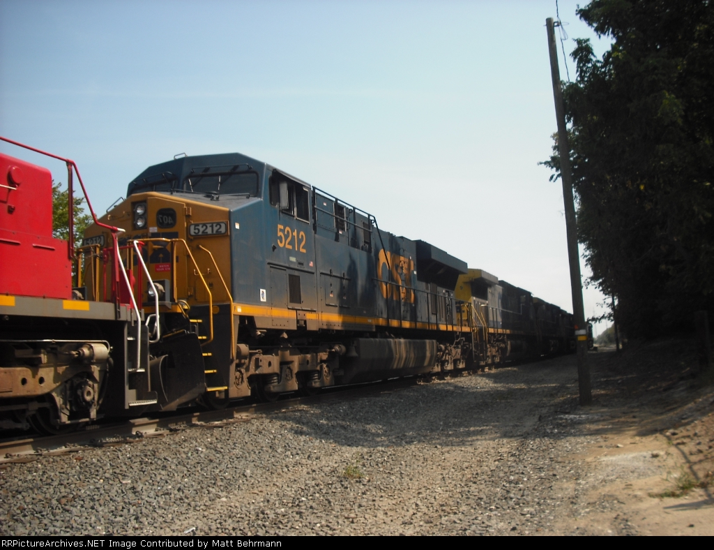 8 Headed monster!!!!!